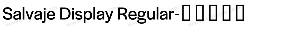 Salvaje Display Regular字体转换